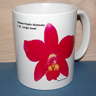 mug DS-080 6704.psd